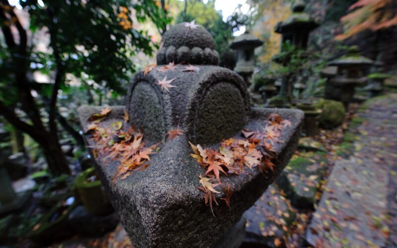 Stone lantern with autumn leaves