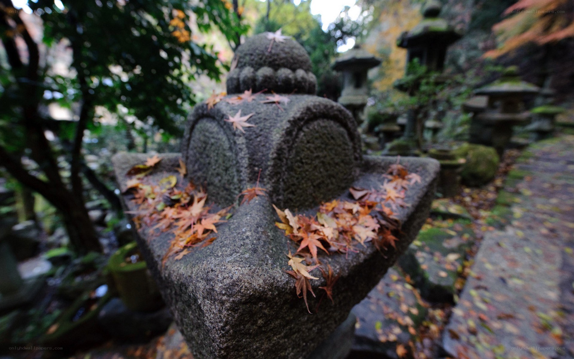Stone lantern with autumn leaves