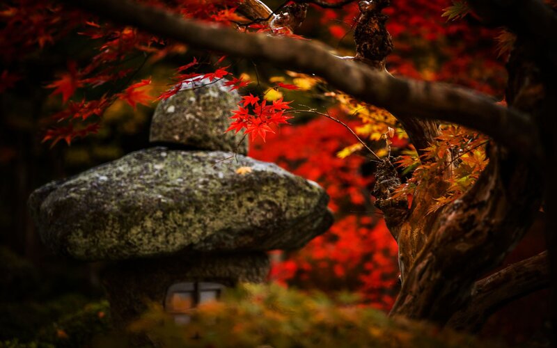 Stone Lantern with Maple Leaves