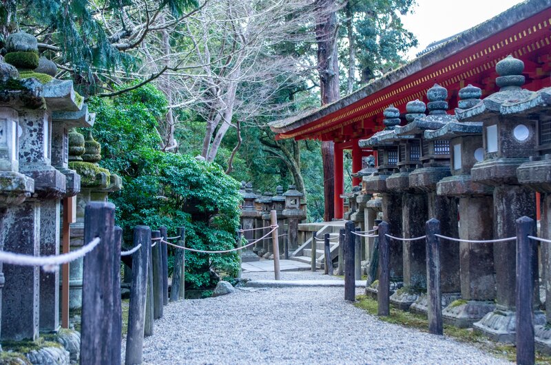 Stone Lanterns at Shrine