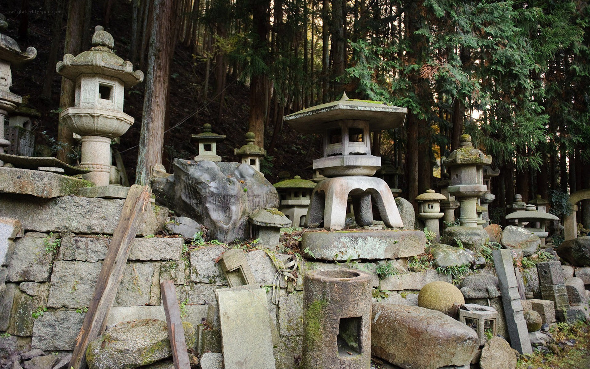 Stone lanterns in a forest