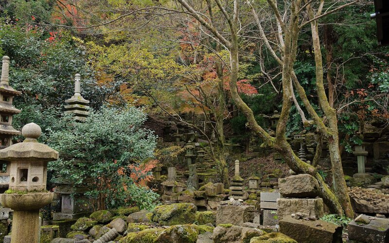 Stone lanterns in a forested garden