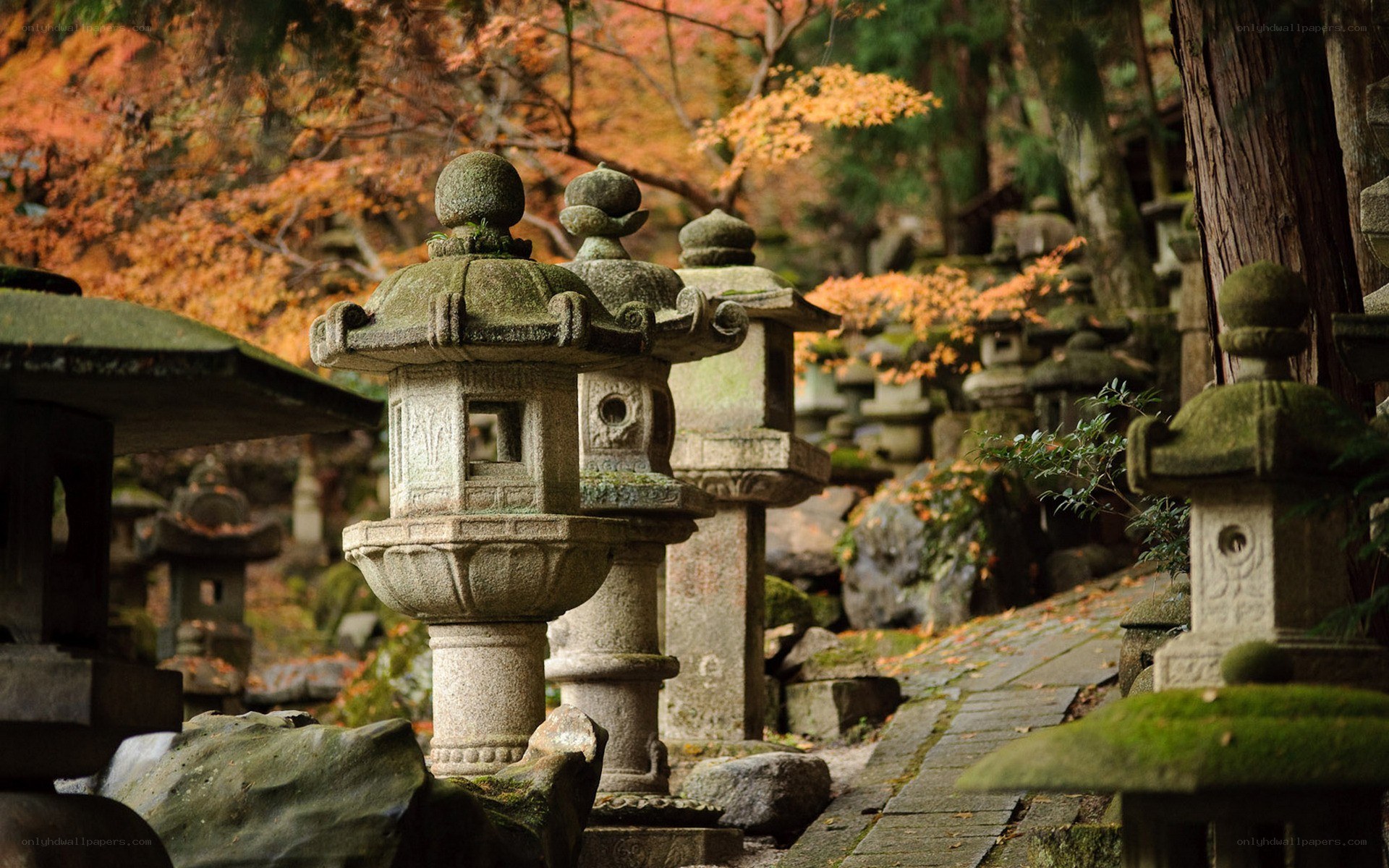 Stone lanterns in autumn garden