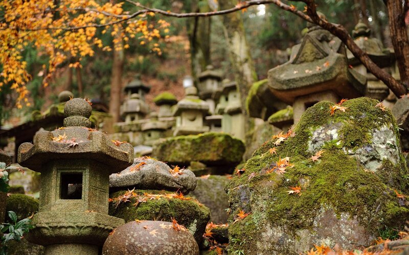 Stone Lanterns in Forest — Green, Serene