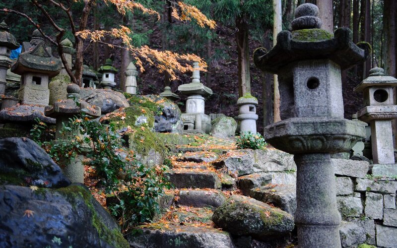 Stone Lanterns in Forest — Green