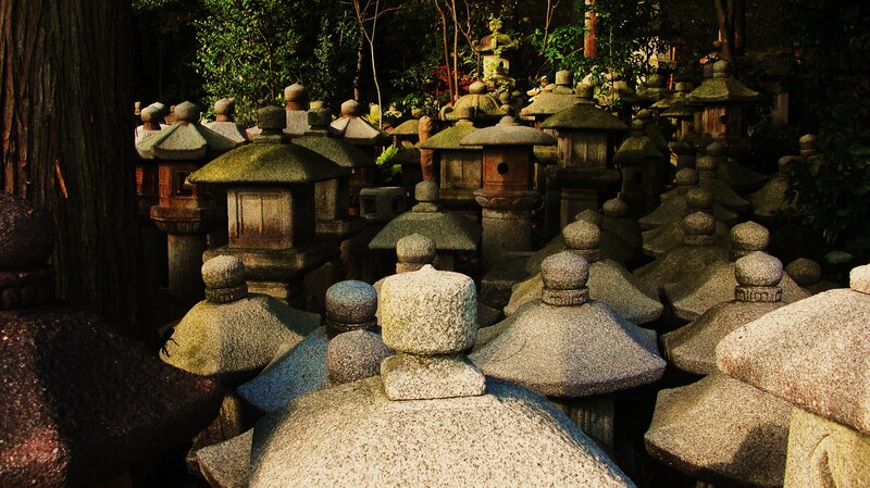 Stone Lanterns in Forest
