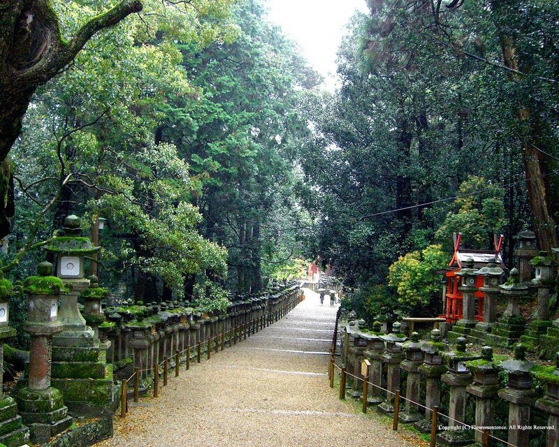 Stone Lanterns on Path