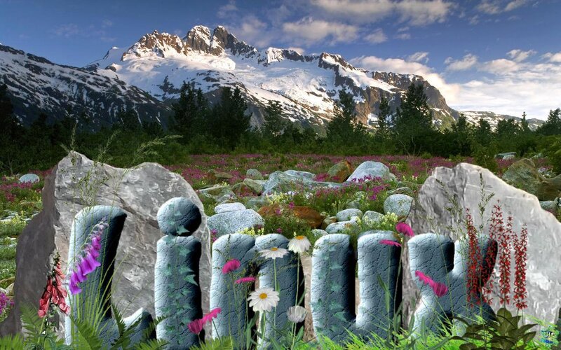 Stone Letters in Meadow