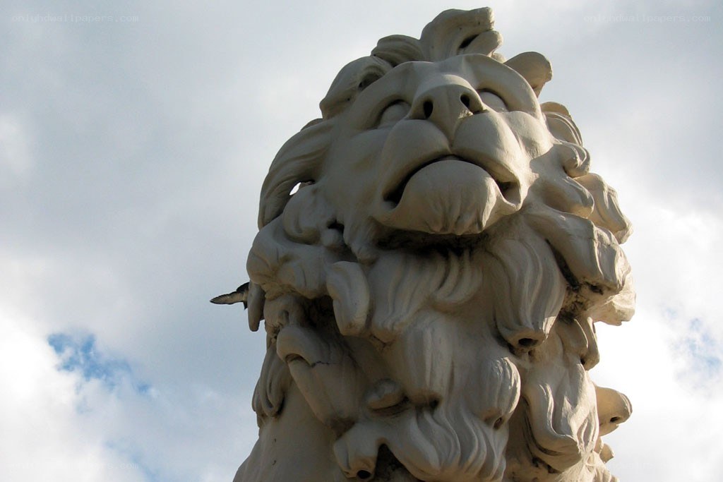 stone lion sculpture