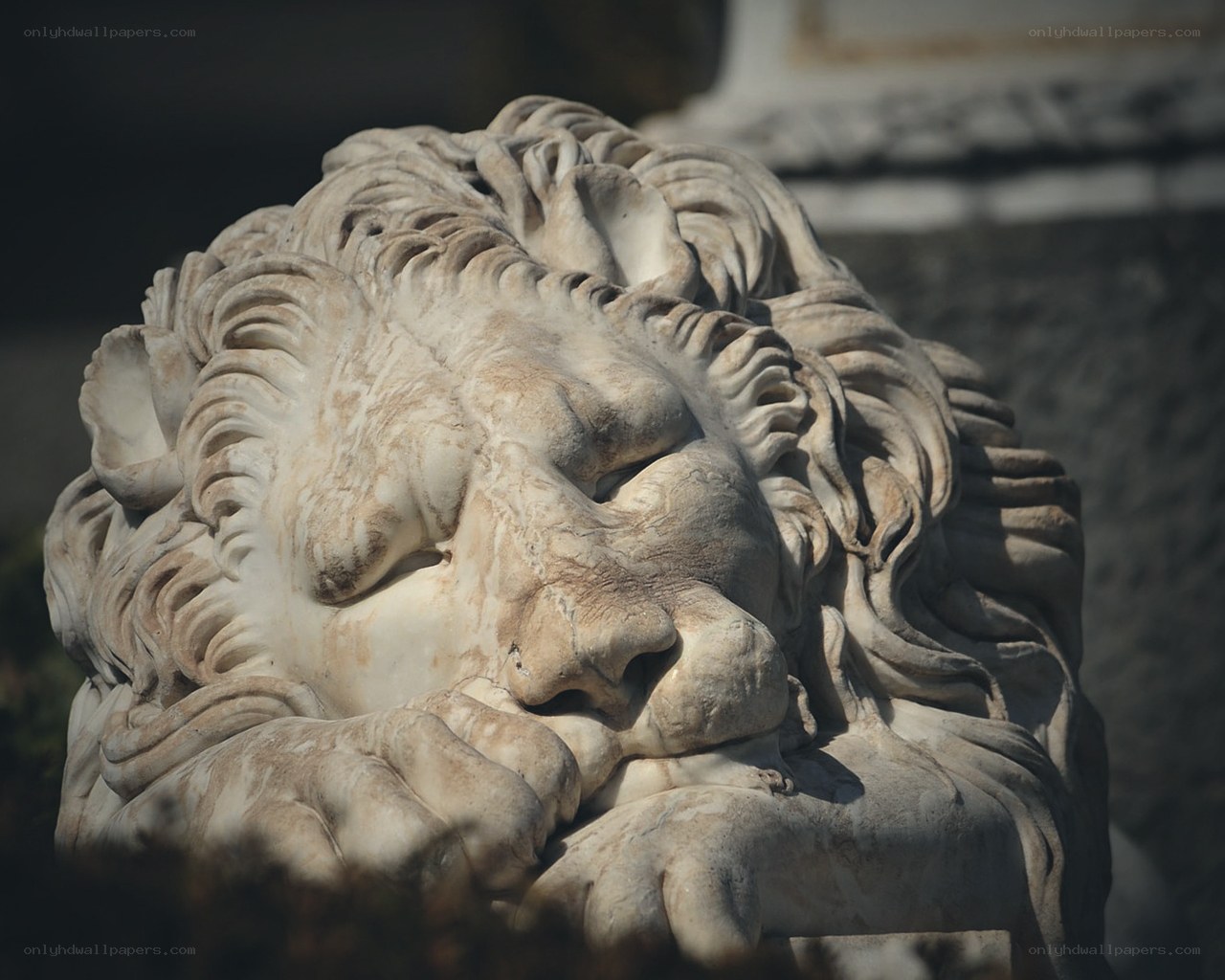 Stone lion sculpture