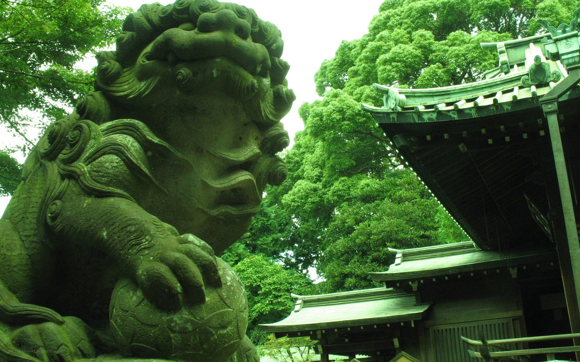 Stone lion statue at a temple