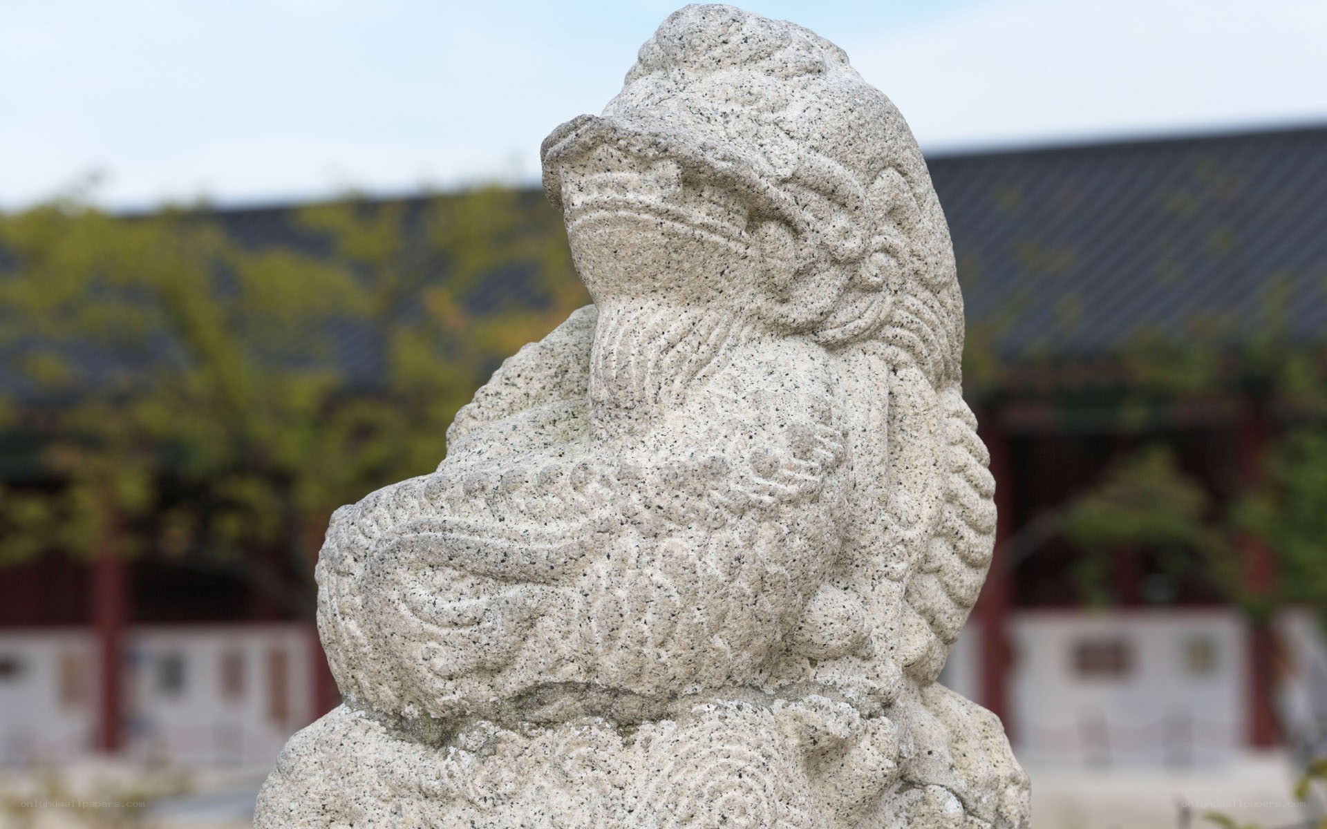 Stone lion statue at temple