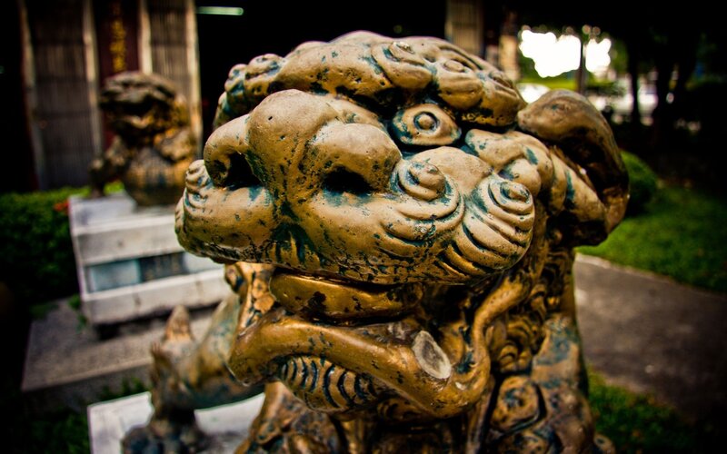 stone lion statue at temple
