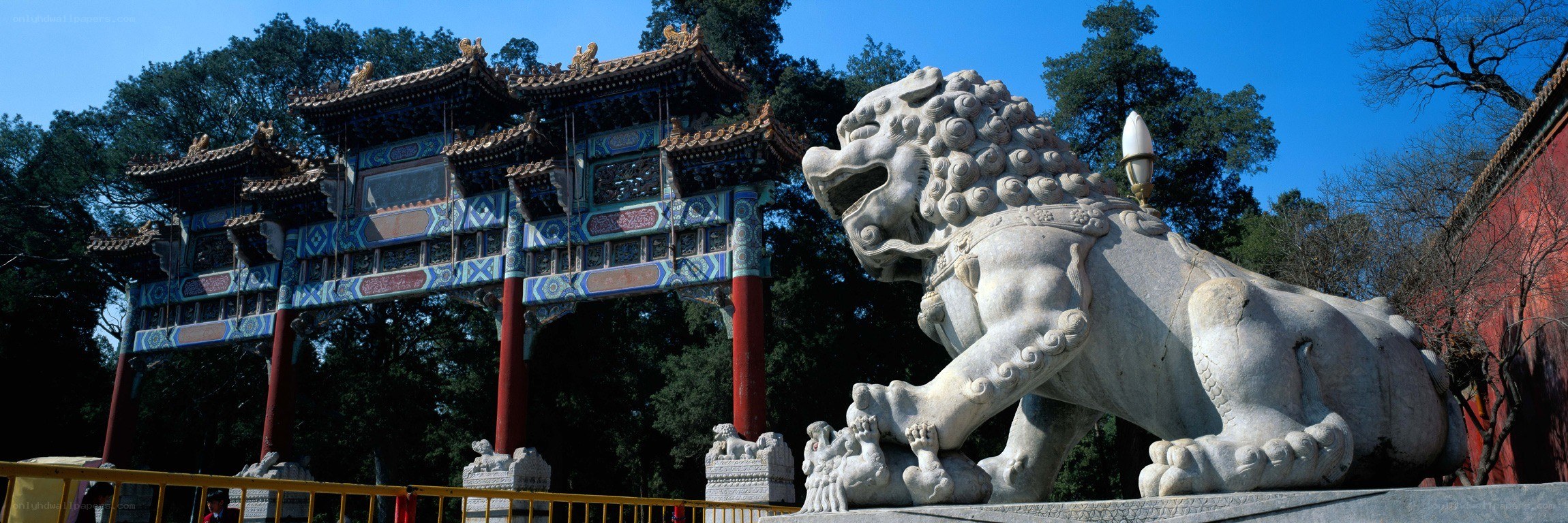 Stone lion statue at temple gate