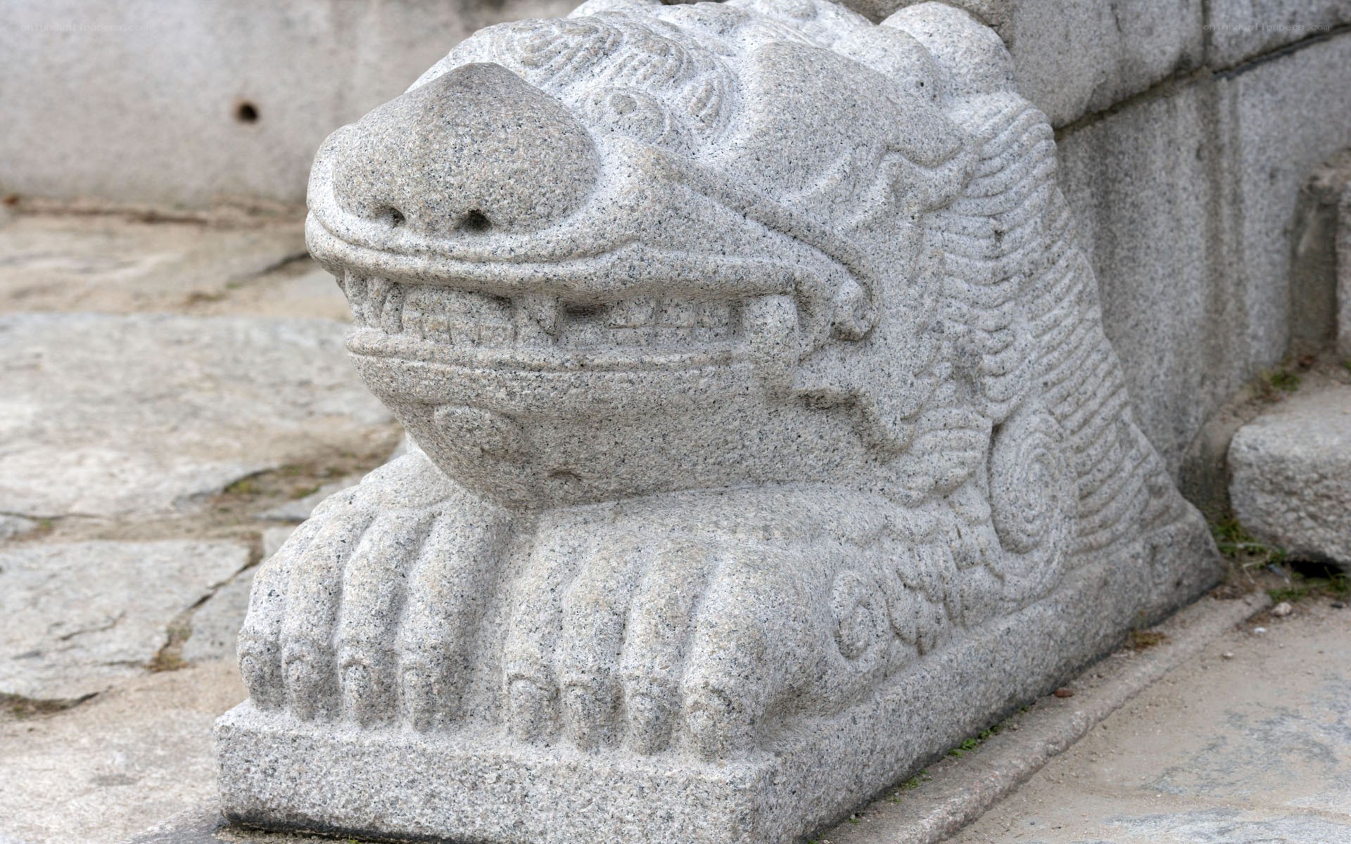 stone lion statue at temple