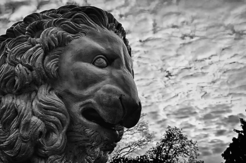 stone lion statue head