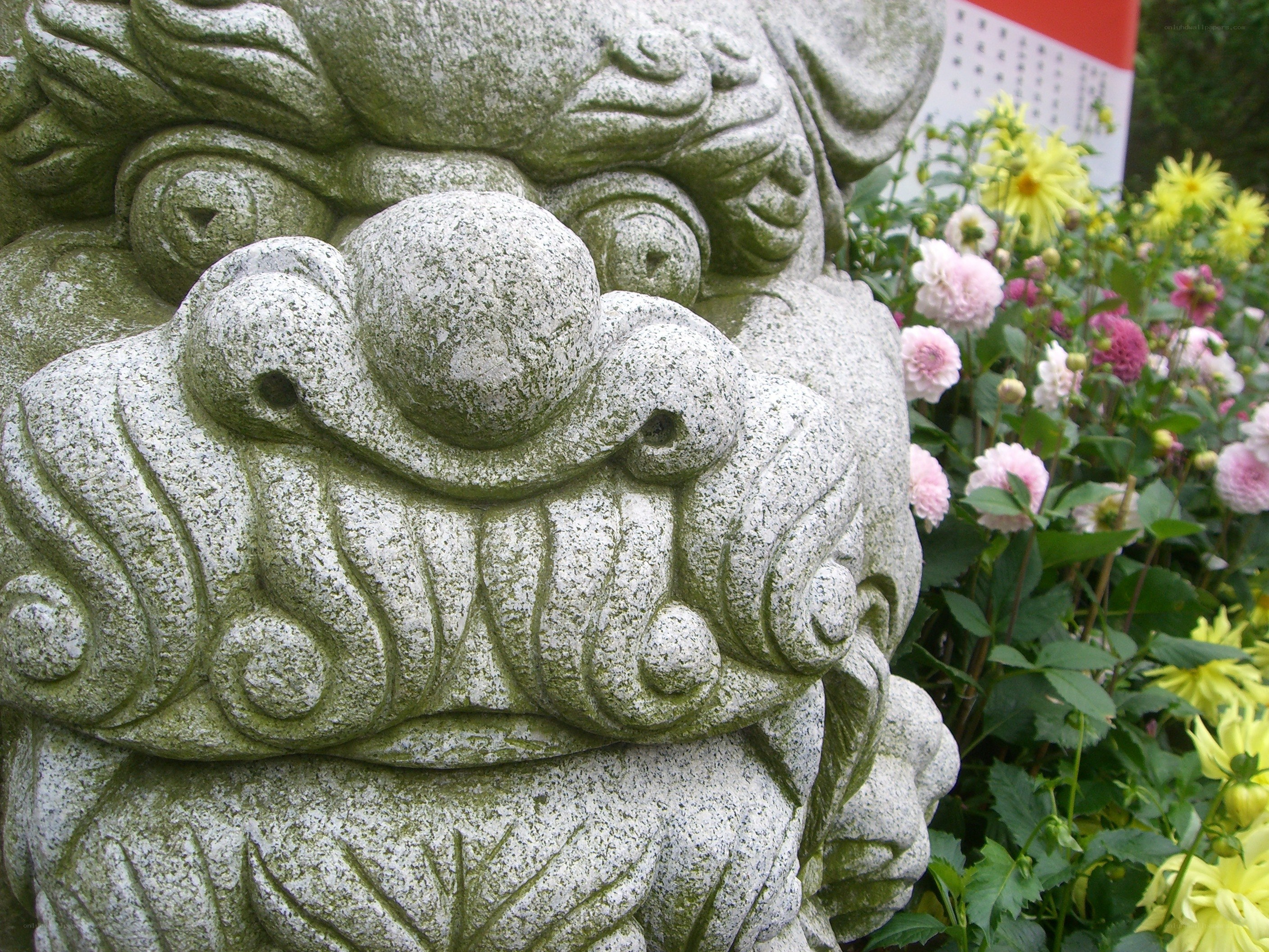 Stone lion statue with flowers