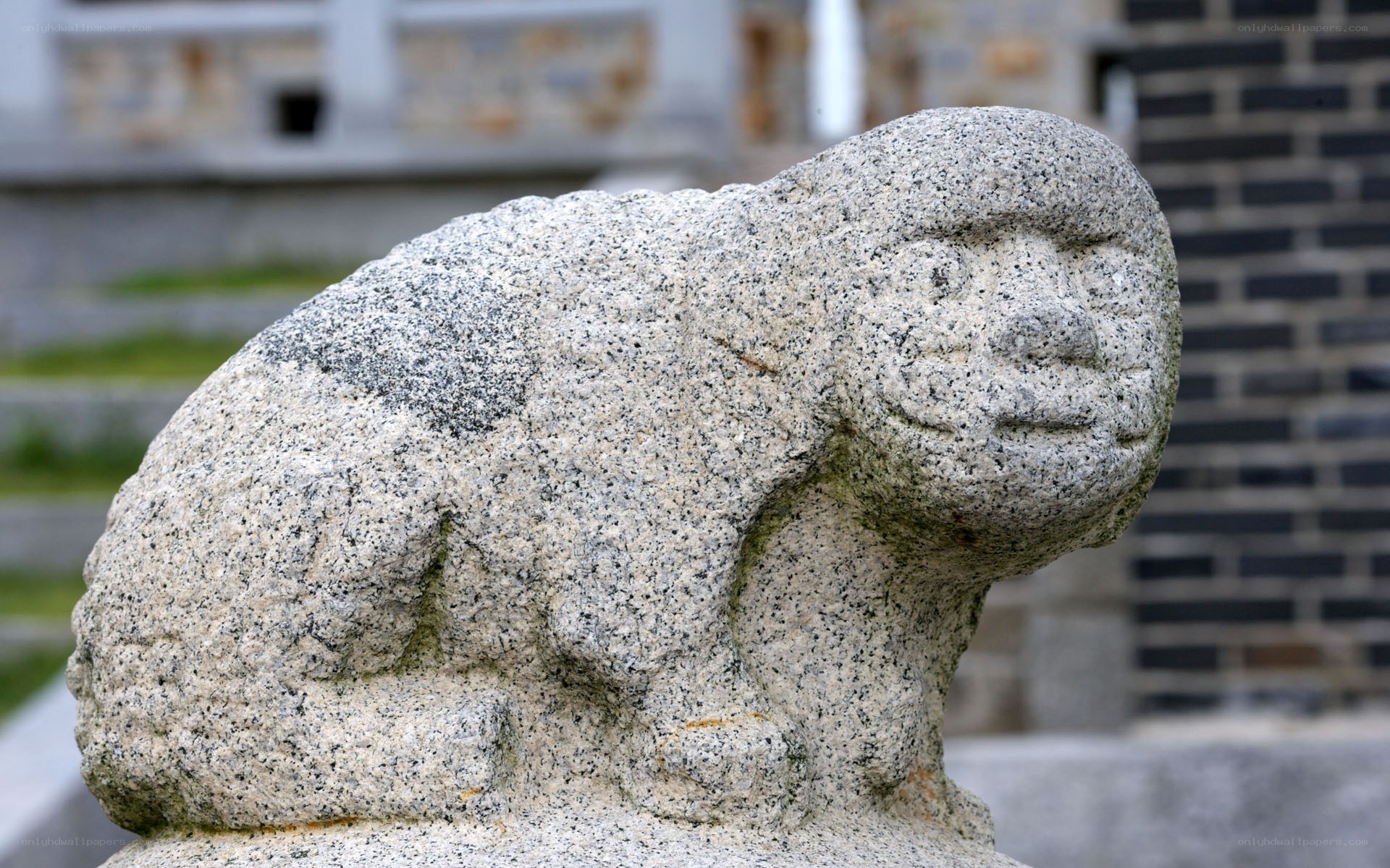 stone lion statue