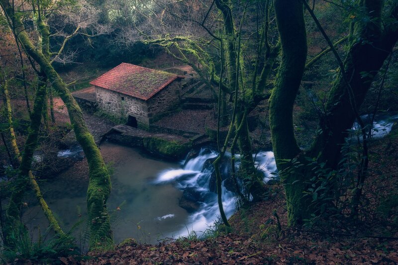 Stone Mill by Stream — Green, Serene, Autumn
