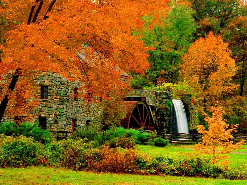 Stone Mill with Waterwheel — Orange, Serene
