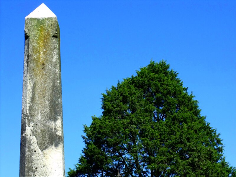 Stone Obelisk and Tree