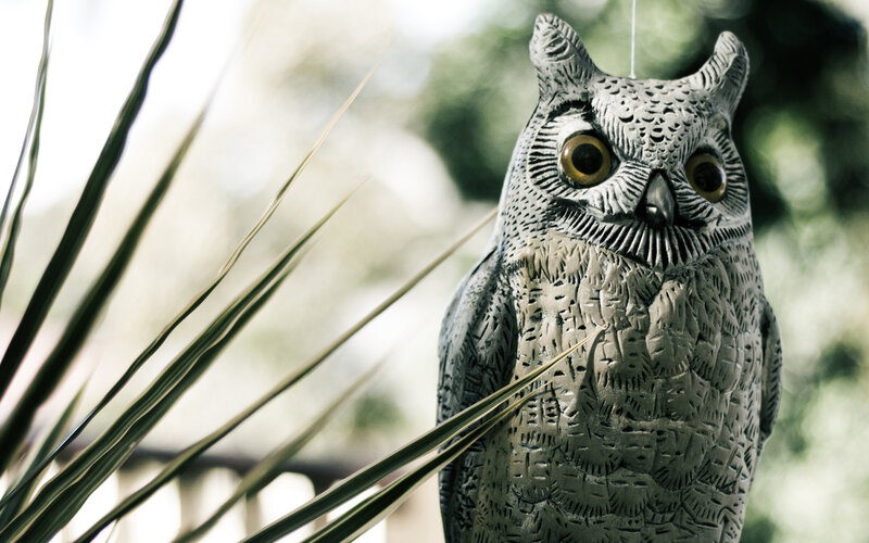 Stone Owl Statue