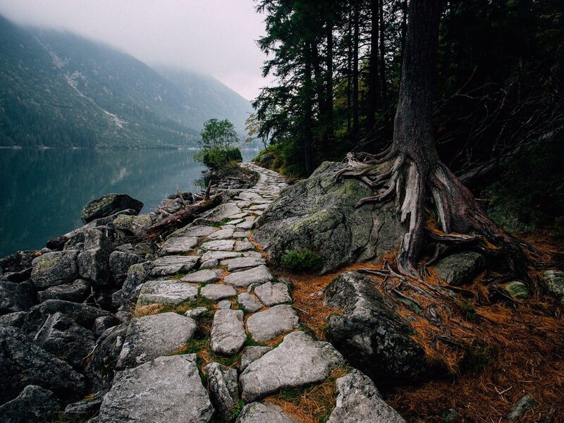Stone Path by Lake — Gray