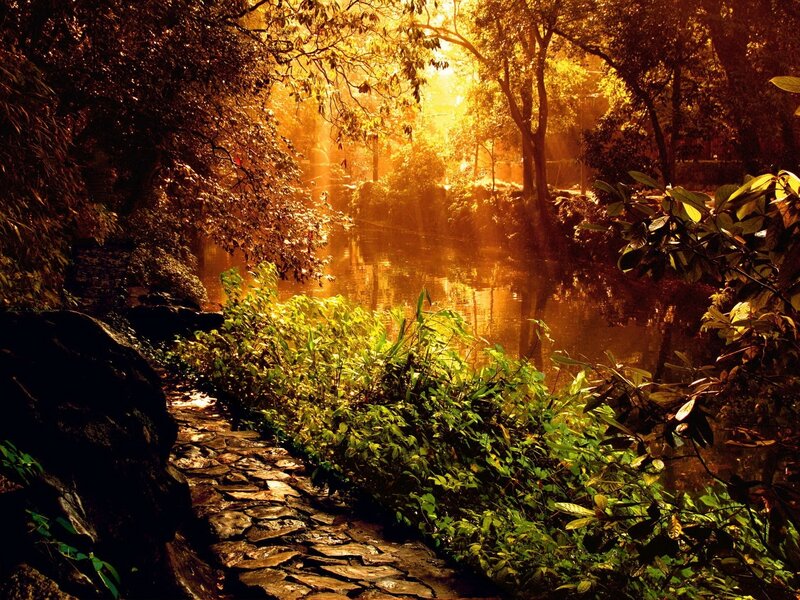Stone Path by River — Gold