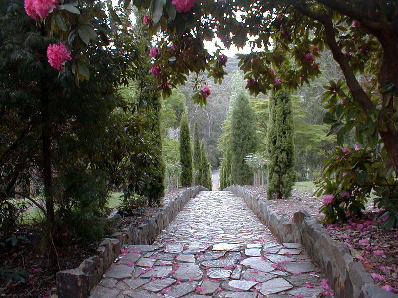 Stone path in a garden