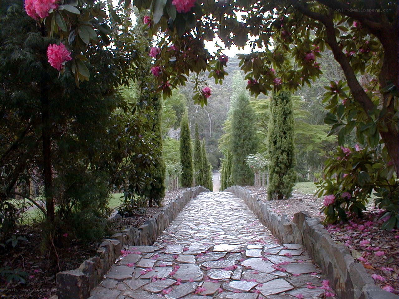 Stone path in a garden