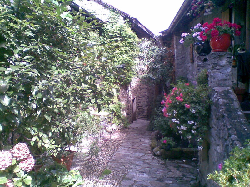 Stone path in a garden alley