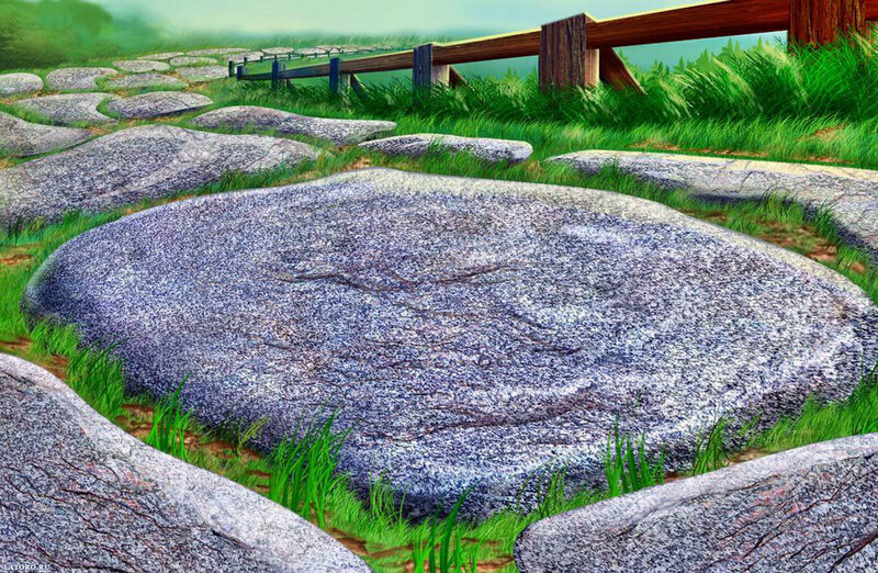 Stone path in a green landscape