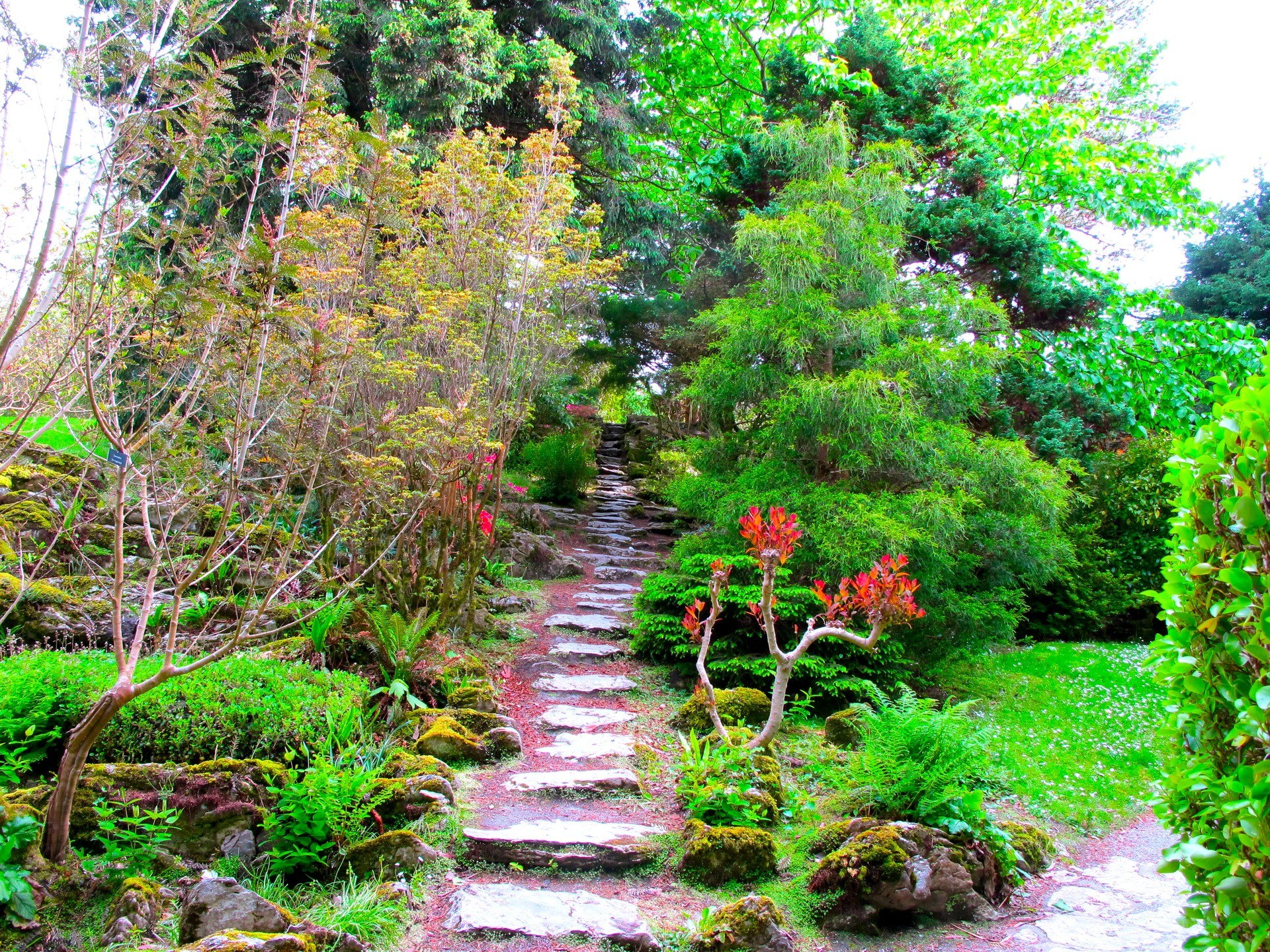 Stone path in a lush garden