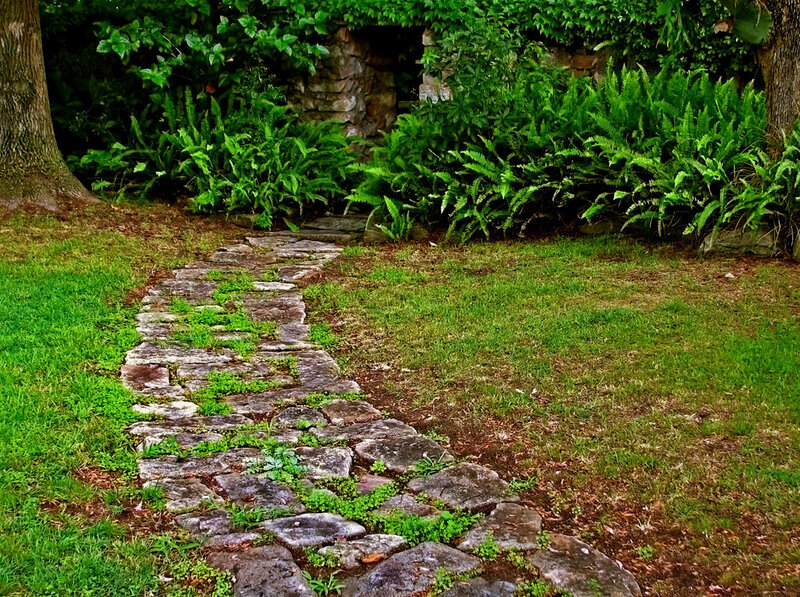 Stone path in a lush garden