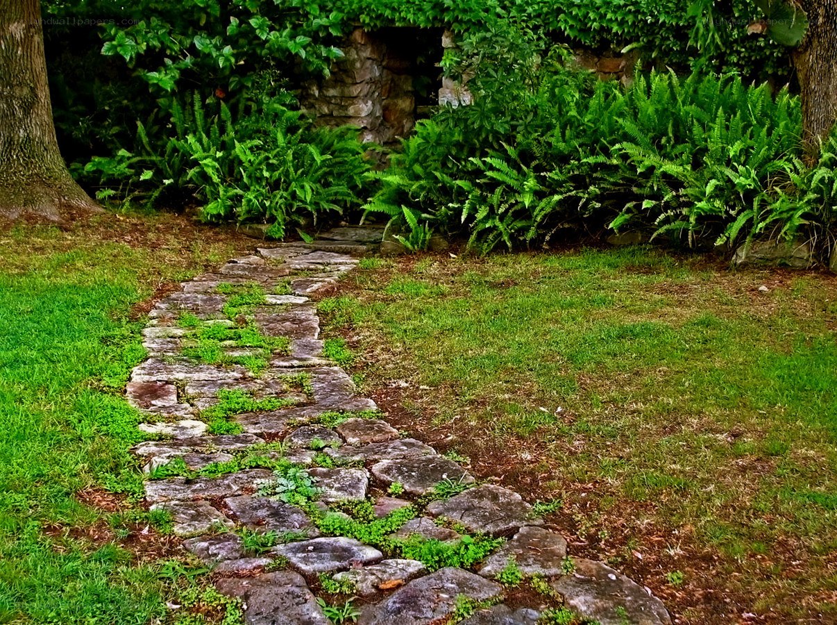 Stone path in a lush garden
