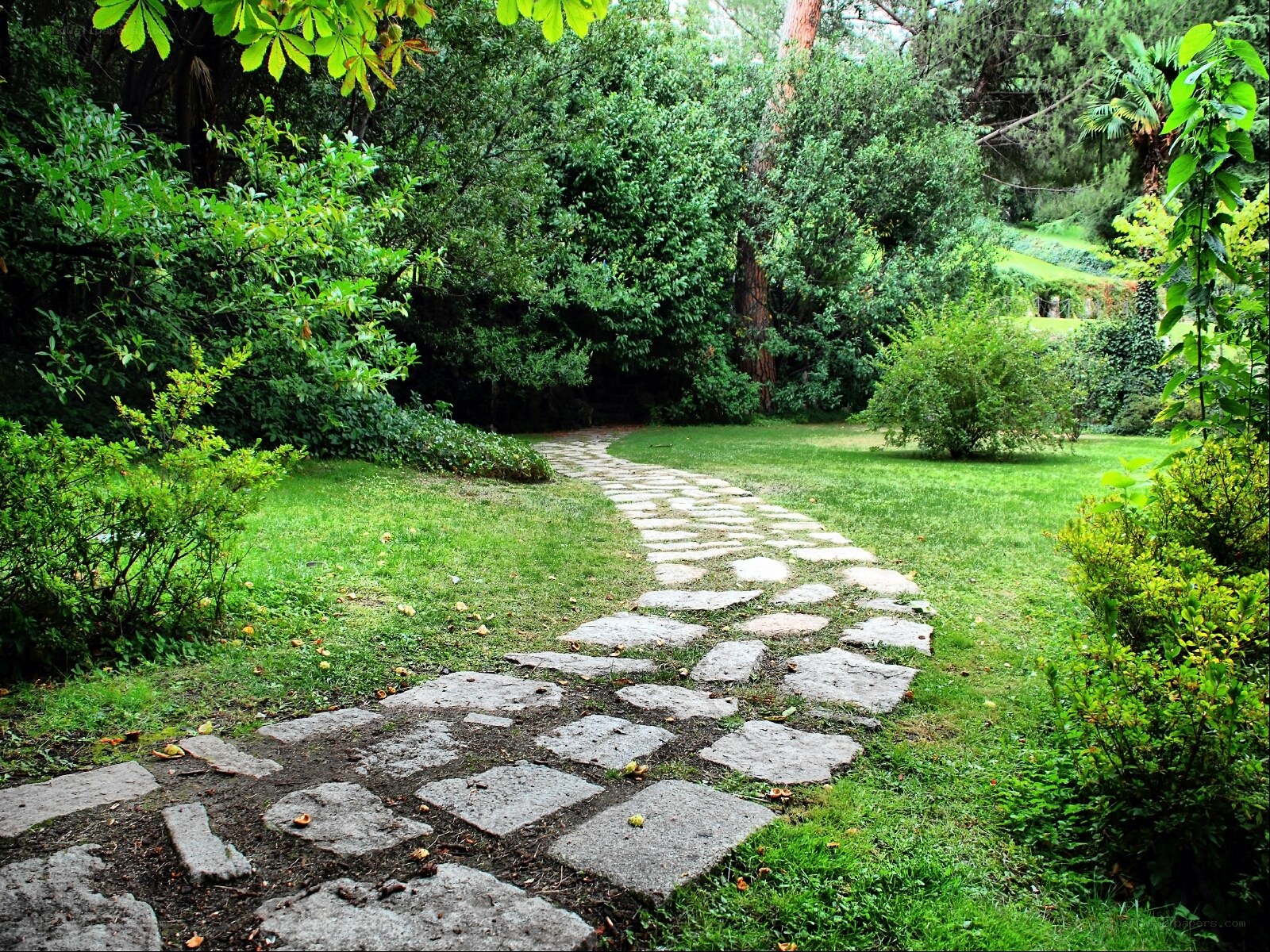 Stone path in a lush garden