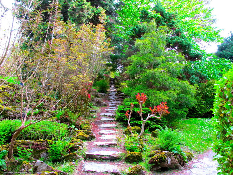 Stone path in a lush garden