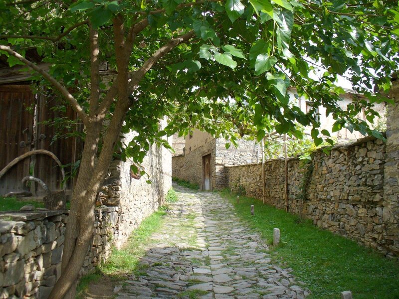 Stone path in a village alley