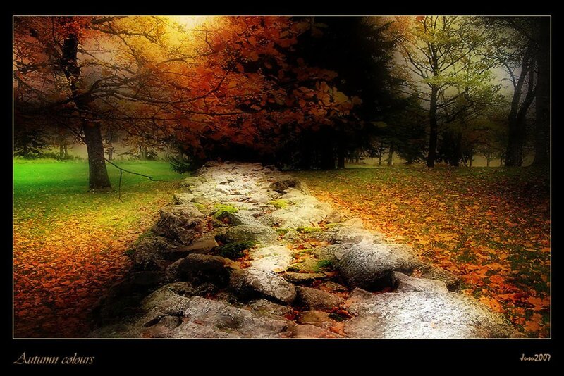 Stone Path in Autumn Forest — Orange
