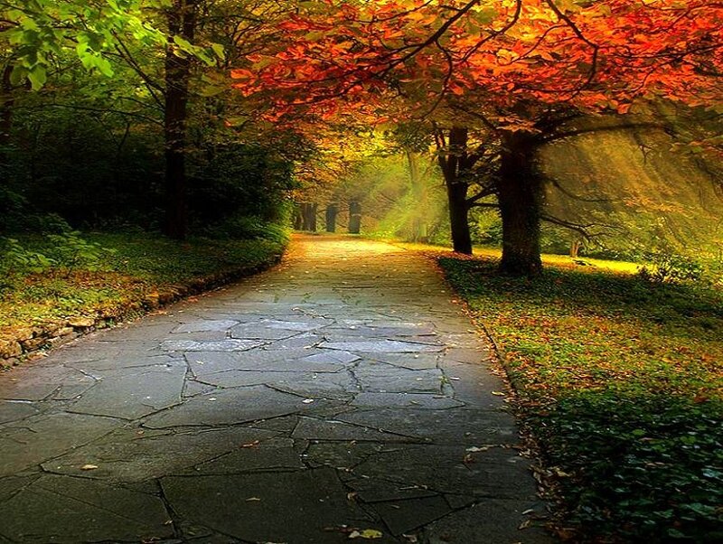 Stone Path in Autumn Park — Green