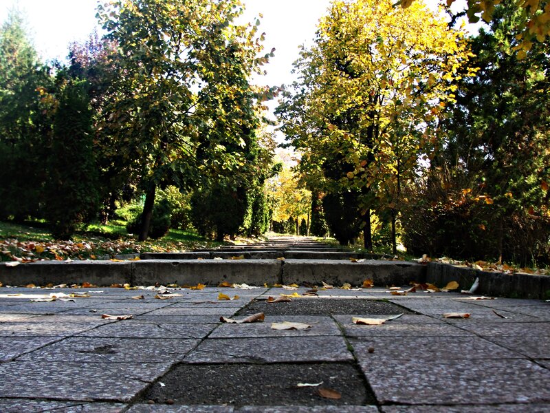 Stone Path in Autumn Park