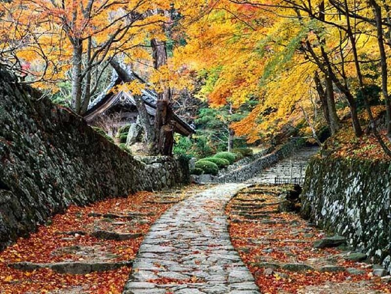 Stone Path in Autumn