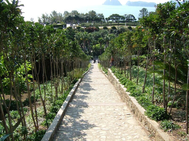 Stone path in coastal garden
