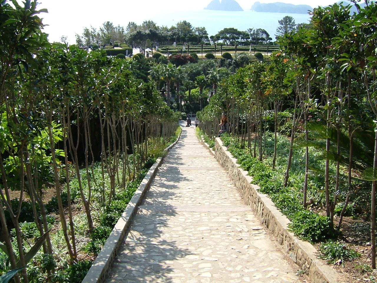 Stone path in coastal garden