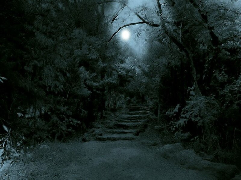 Stone Path in Forest — Blue, Dark