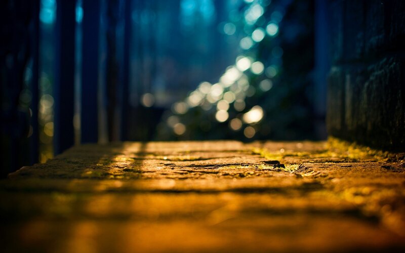 Stone Path in Forest — Blue