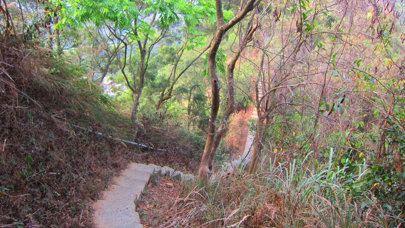 Stone Path in Forest — Green, Natural, Afternoon