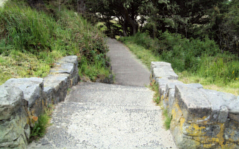 Stone Path in Forest — Green, Natural