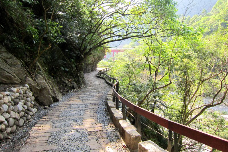 Stone Path in Forest — Green, Serene, Afternoon, Photograph, Trees, Bridge