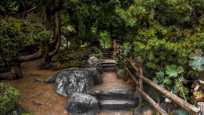 Stone Path in Forest — Green, Serene, Afternoon, Photograph, Trees, Rocks, Fence